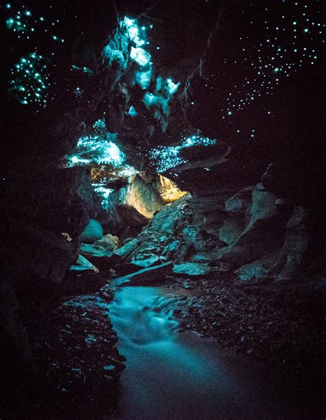 A Magical Underground World Exploring Glowworm Caves In New Zealand