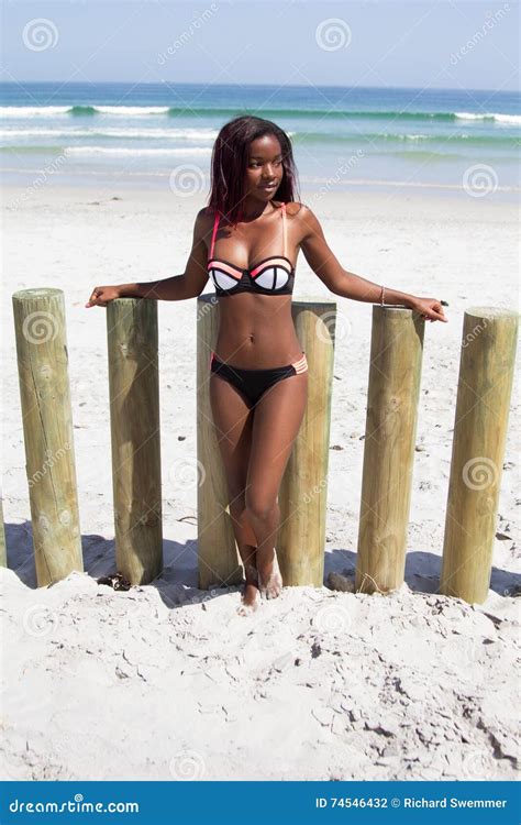 Femelle Africaine Sexy Sur La Plage Photo Stock Image Du Gens