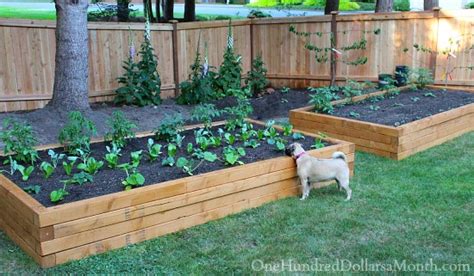 How To Build Raised Garden Beds For Growing Vegetables