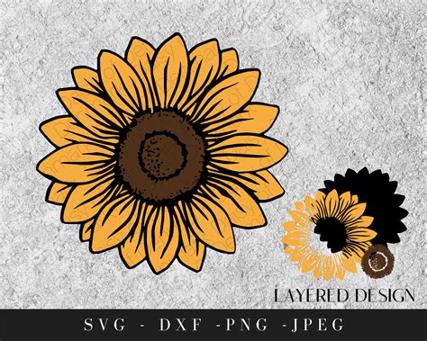 Sunflower Svg Svg File For Cricut Png Clipart Etsy
