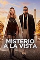 Misterio a la vista (Película en Netflix 2023) | Filmelier: Películas ...
