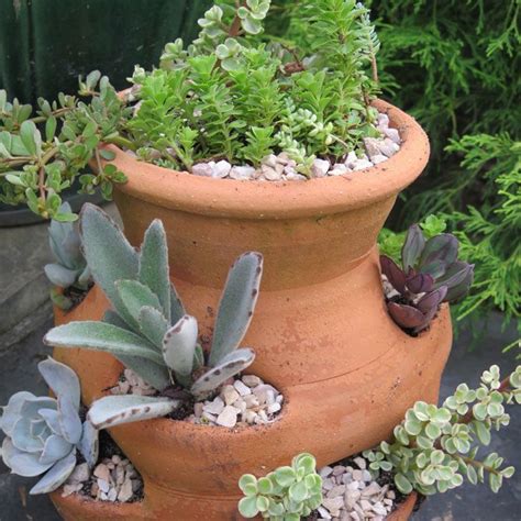 Strawberry Pot Planted With Succulents Strawberry Pots Succulents