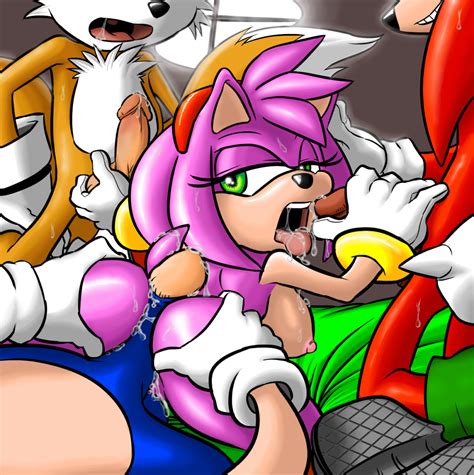 736661 Amy Rose Knuckles The Echidna Sonic Team Sonic The.
