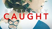 Watch Butterfly Caught - Stream now on Paramount Plus
