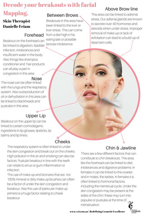 Face Mapping What Do Your Breakouts Actually Mean Fac