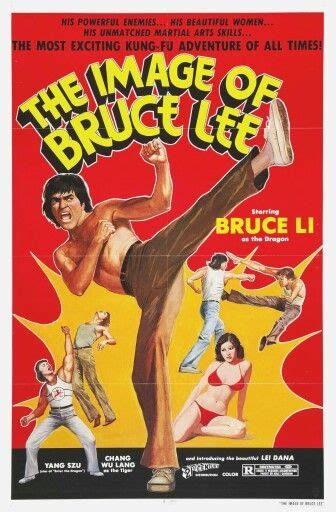 Kung Fu Martial Arts Martial Arts Movies Movie Poster Art Film Posters Sports Posters
