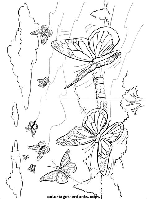 Imprimer Coloriage A Imprimer Papillon Images Voyager En Solo