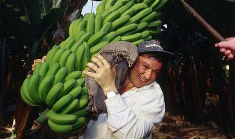 Fyffes Merger Builds Banana Empire With Us Rival Chiquita City And Business Finance Express