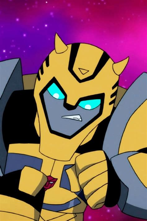 Cartoon Network Transformers Animated