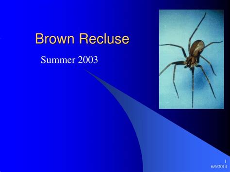 Ppt Brown Recluse Powerpoint Presentation Free Download Id1151153