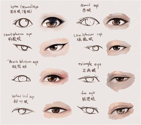 chart for eye types as often described in asian novels helps a lot in visualizing characters