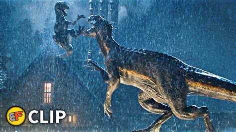 Blue Vs Indoraptor Final Battle Scene Jurassic World Fallen Kingdom