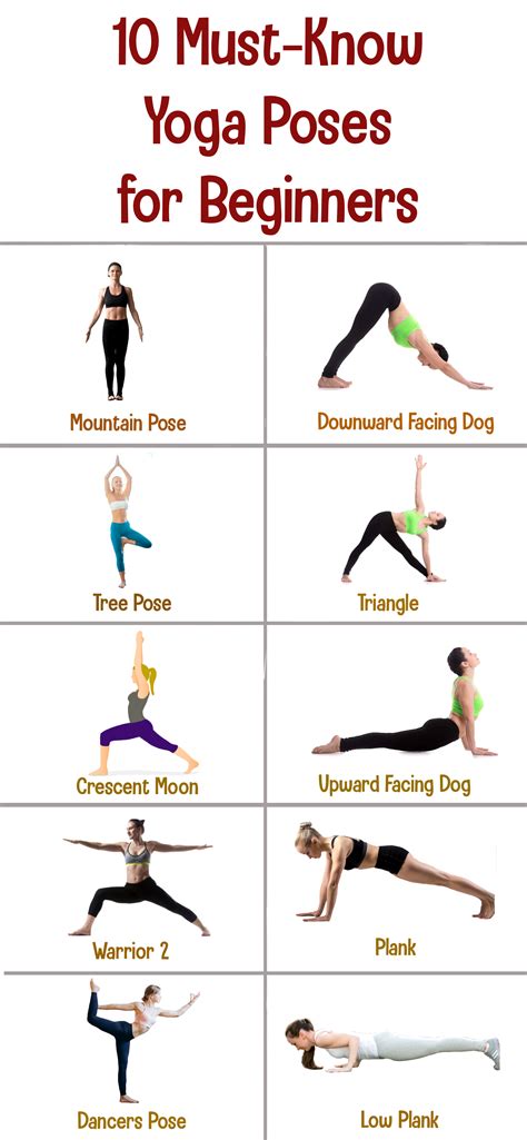10 must know yoga poses for beginners beginner yoga workout yoga poses for beginners yoga