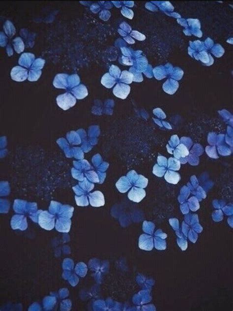 Check spelling or type a new query. 💙⚪Blue Aesthetics & Outfit Ideas⚪💙 | Korean Fashion Amino