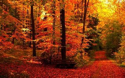 Autumn Fall Backgrounds Desktop Season Nature Wallpapers