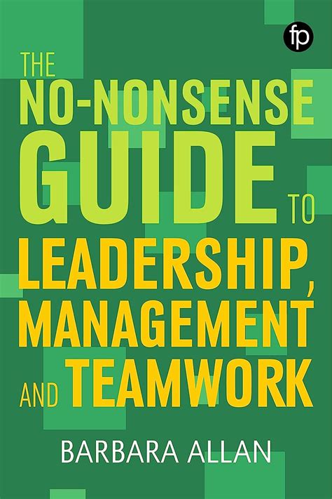 The No Nonsense Guide To Leadership Management And Team Working Facet No Nonsense Guides