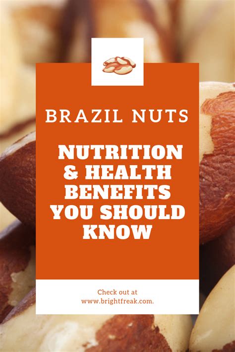Brazil Nuts Nutrition And Health Benefits You Should Know In 2020
