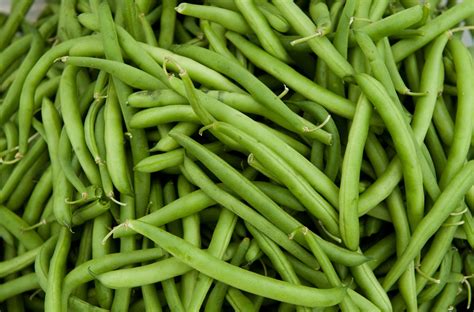 Beans Wallpapers High Quality Download Free