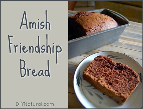 Amish Friendship Bread My Grandmother S Delicious Traditional Recipe