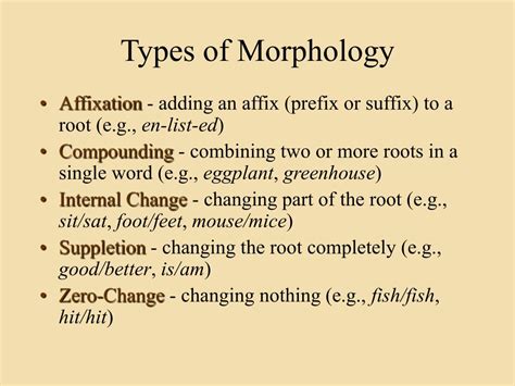 Morphology Examples