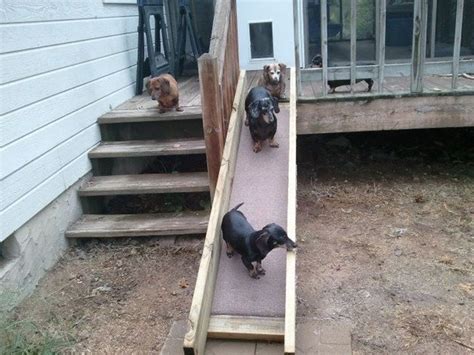 Make It Easy On Dog Ramp For Stairs Dog Ramp Dog Ramp For Stairs
