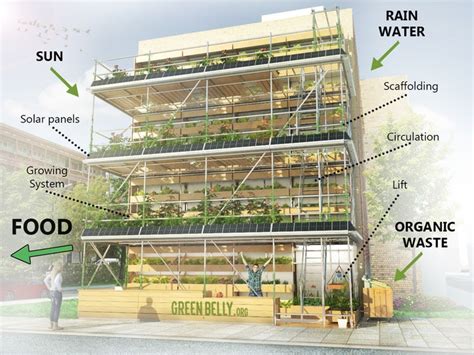 Greenbelly Turning City Walls Into Vertical Farms — Agritecture