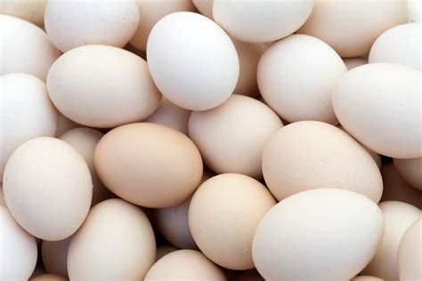 Are Eggs Healthy For You The Truth About This Controversial Food
