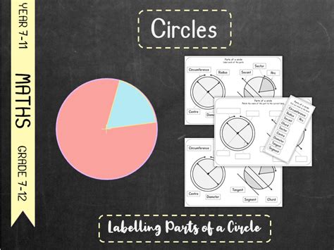 Circles Labelling Parts Of A Circle Teaching Resources