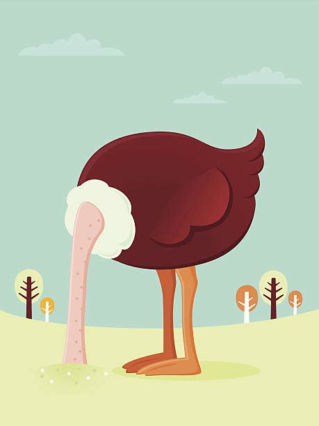 Ostrich Clip Art Vector Images And Illustrations Istock