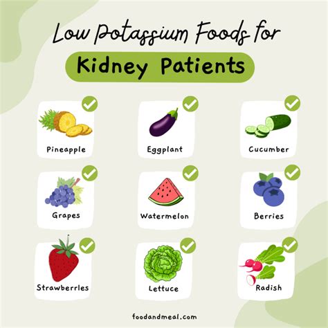 10 Low Potassium Foods For Kidney Patients