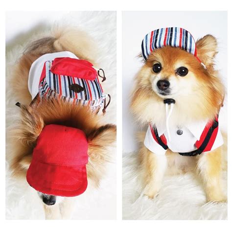 Snapbacks For Dogs Cats Handmade Dog Hats Dog Caps Etsy Dog Hats