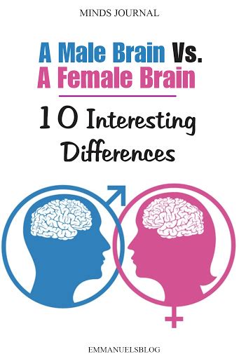 A Male Brain Vs A Female Brain 10 Interesting Differences