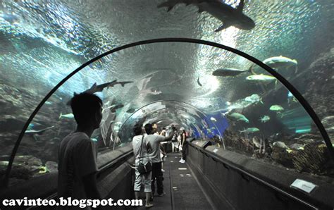Entree Kibbles Underwater World Sentosa Singapore