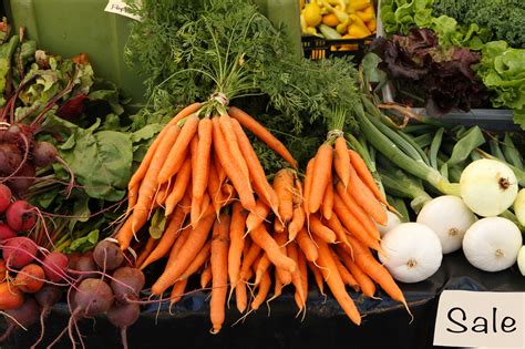 10 Best Vegetables To Grow In Your Home Garden