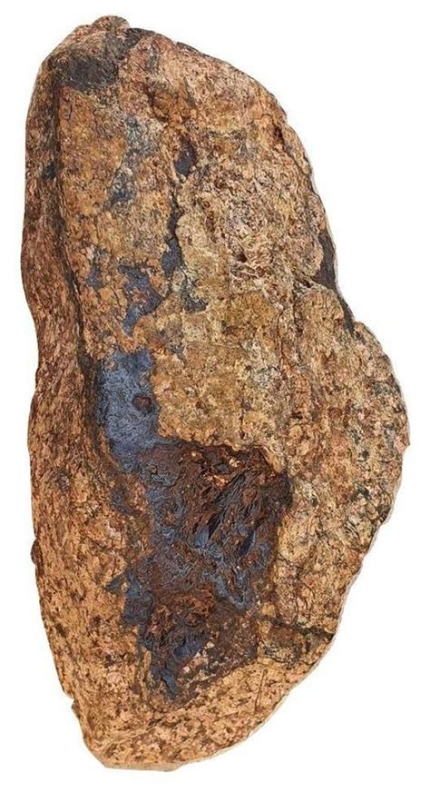 Stony Iron Meteorite Nwa 1645g C127 Météorite Afrique De Louest Etsy