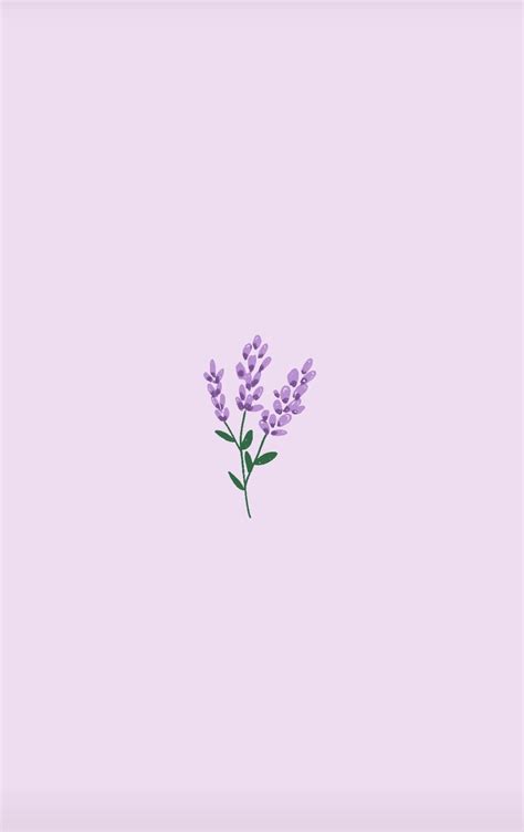Incomparable Minimalist Aesthetic Flower Desktop Wallpaper You Can