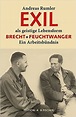 Exile as an Intellectual Way of Life : The collaboration of Lion ...