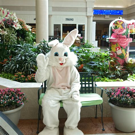 Visit The Easter Bunny At Abt The Bolt