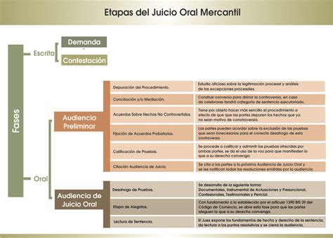 Organización De Los Tribunales En México Materiales