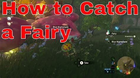 Breath of the wild (botw) for the nintendo switch. Breath of the wild How to Catch a fairy how to use a fairy ...