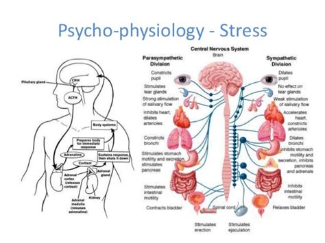 Stress Management Ms Kardile