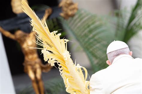 Full Text Of Pope Francis Homily For Palm Sunday 2023 Catholic News