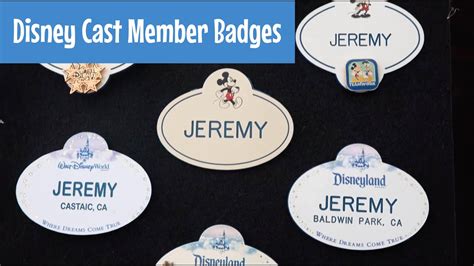 Disney Store Cast Member Name Tag Disneyland Wdw Parks Badge History