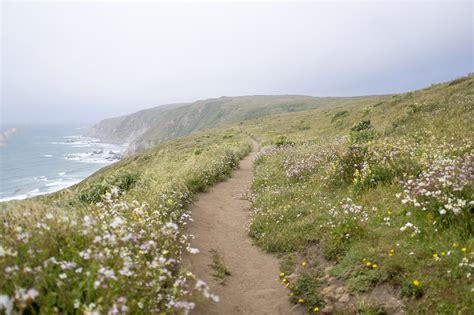 Trail Guide Suggested Hikes Point Reyes National Seashore U S National Park Service
