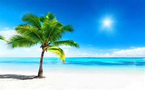 unique wallpaper 30 fotos de playas tropicales con agua cristalina sol palmeras y arenas