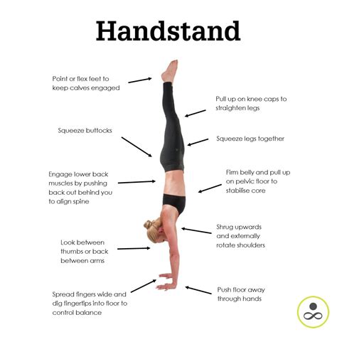 Forearm Stand Ashtanga Yoga Yoga Poses