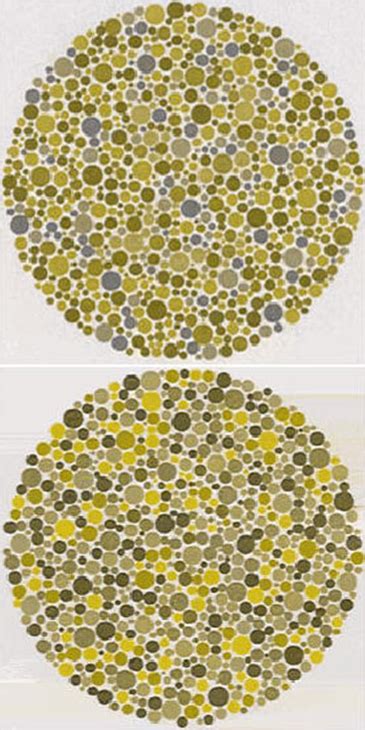Color Vision Deficiency Examples Color Vision Testing