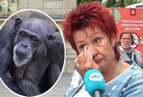 Zoo Bans Woman From Seeing Chimpanzee After 4 Year Long Affair