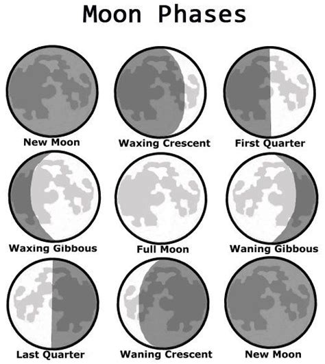 Cartoon Coloring Pages Moon Phases For Adult Coloring Pages Free