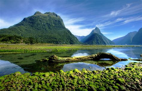Fiordland Travel Guide What To Do In Fiordland Rough Guides